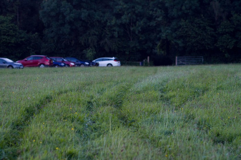 Steph&amp;KitWeb-213