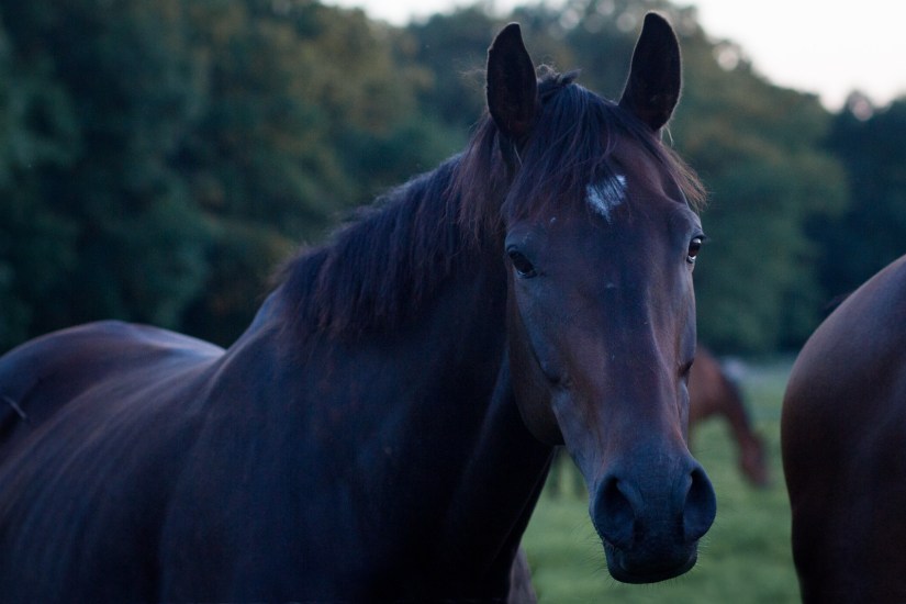 Steph&amp;KitWeb-219