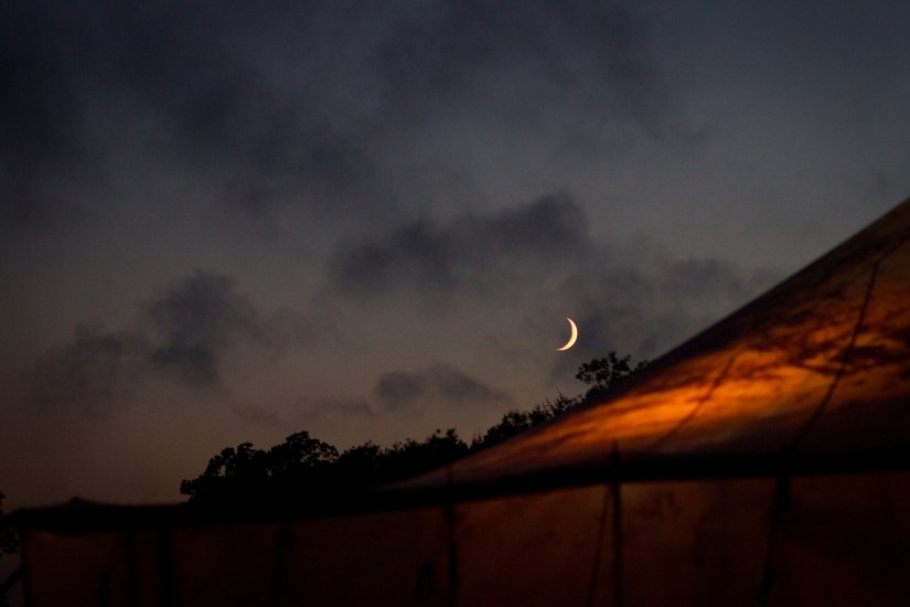 Steph&amp;KitWeb-251